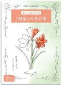 yViz|XgJ[h hG|XgJ[h N