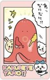【中古】キャラカード KAKURETETANO!? 「ちいかわ スナップマイド」