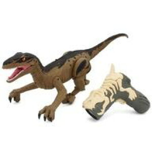 yVizWR R/C [U[K_Ci\[ FLvg [TS080B]