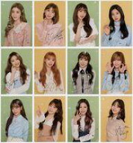 楽天市場】iz*one ポストカードの通販