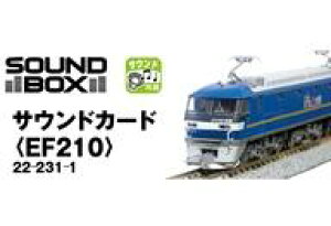 yVizS͌^ TEhJ[hEF210 [22-231-1]