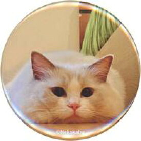 【中古】バッジ・ピンズ 猫B 「大森日雅と山下七海の、猫かぶらない トレーディング 缶バッジ」