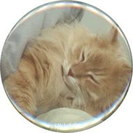 【中古】バッジ・ピンズ 猫C 「大森日雅と山下七海の、猫かぶらない トレーディング 缶バッジ」