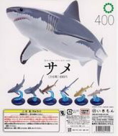 【中古】紙製品 ガチャ台紙(ホオジロザメ) 「ネイチャーテクニカラー400 サメ」