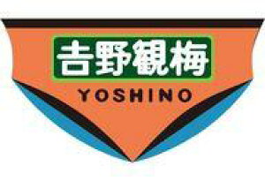 yVizS͌^ HOQ[W 1/80 101np̔ gϔ~ 2 [TW-HO-HM050]