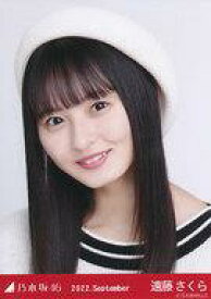 【中古】生写真(乃木坂46)/アイドル/乃木坂46 遠藤さくら/バストアップ・マリンルック/「乃木坂46 2022.September」WebShop 限定ランダム生写真