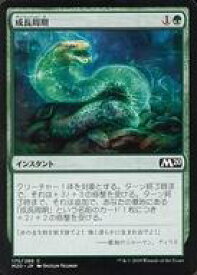 【中古】マジックザギャザリング/日本語版/C/基本セット2020/緑 [C]：成長周期/Growth Cycle