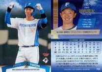 楽天市場】谷内亮太の通販