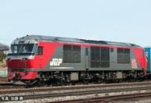 yVizS͌^ HOQ[W 1/80 DF200-0`(PS) [HO-242]