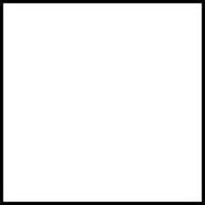 yVizhEH h SJ[ M[ NA[R[g [SP-40]