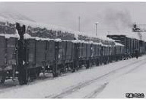 yVizS͌^ 1/150 Hz{ݕԃZbg(10) [98866]