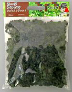 yVizS͌^ [Wvc tHXguh [24-546]