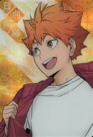 【中古】アニメ系トレカ/描き下ろしビジュアル/ハイキュー!! ウエハース5[2756446] No.17：日向 翔陽