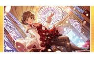 yVizTvC uV[h o[}bgRNV V2 Vol.1621 ACh}X^[ VfK[Yw{cxJChXm[ver.