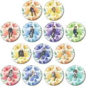 【中古】バッジ・ビンズ 全13種セット 「家庭教師ヒットマンREBORN! トレーディング Botania 缶バッジ」