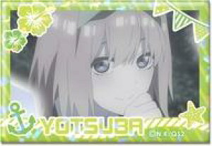 yVizobWErY fUC13(lt/A) zOʃobW uܓ̉ԉ*v