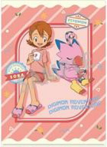 yVizNAt@C V󁕃s~~p(QN) A4VONAt@C ufWAhx`[v