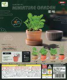 【中古】紙製品 ガチャ台紙 「ミニチュアガーデン 薬味」