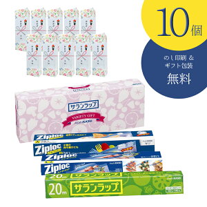 �y10�Z�b�g�z�y�̂��L�����M�t�g��t�z�y���z�� �䈥�A ��� �e�i �M�t�g�z�T�������b�v�o���G�e�B�M�t�gSVG8B