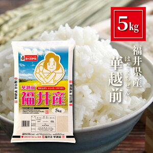 䌧Y ؉zO  5kg    niG`[ ͂Ȃ ܈ Hi Y  5L