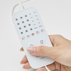 []y CALQS ƌƍzbƂ閍Of Rg[[ Pi̔z