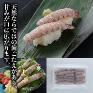 生食用 寿司ネタ ボイルシャコ 16尾 蝦蛄 すしねた ボイル エビ 無添加 殻むき しゃこ 長さ 手巻き寿司