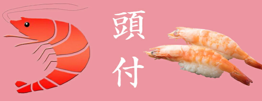 使いやすい　10尾規格　寿司ネタ　有頭バナメイ寿司海老Ｌ(13-14ｃｍ)10尾　のせるだけ　すしねた　業務用　えび　ボイル　海鮮丼　手巻き寿司