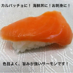 il^ T[ gEg XCX 6g×20 ˂ Ɩp Hp hgp  Ⴏ CN Jpb` 芪i