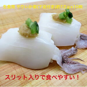 Y Hp Q\t 肢p12g×10 il^ Ⓚ @Hp@̂邾@hgp@CN@芪i