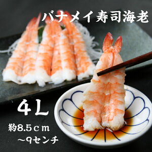 il^ oiCiCV4L(8.5-9.0cm)20 ̂邾 Ɩp ˂  {C CN 芪i