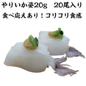 寿司ネタ ヤリイカ姿20g×20枚 やりいか 下足付き げそ付き すしねた 生食用 のせるだけ 刺身用 海鮮丼 手巻き寿司