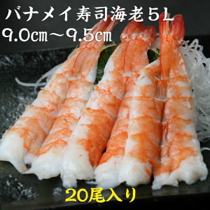 il^ oiCiCV5L(9.0-9.5cm)20 ̂邾 Ɩp ˂ {C CN 芪i