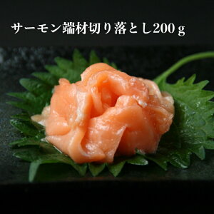 ȗprŎgp il^ T[[200g ؂藎Ƃ Ɩp Hp ˂ [ hgp@CN pX^ T_ 芪i