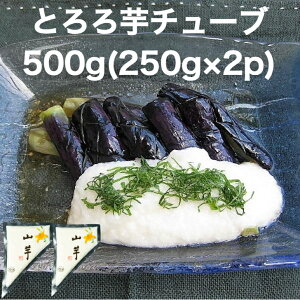 【送料無料】 使いやすいチューブタイプ とろろ芋チューブ500g(250g×2p) やま芋 業務用 (冷凍) 長いも 長芋 ながいも トロロ とろろ とろろいも とろろ芋 やまかけ やまいも 山芋 大和芋