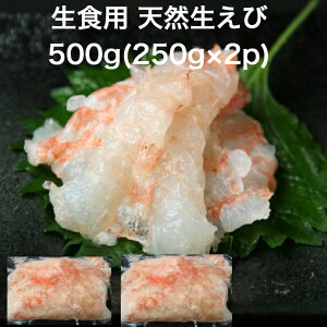 yz ȗprŎgp VR  CV 500g(250g×2p) Ɩp Hp ˂  VR hgp CN pX^ T_ 芪i il^ am uECVgp