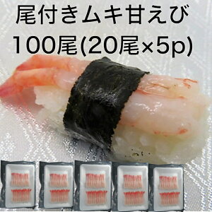 yzÂєtނ 100(20×5p) ˂ ÊCV ܂ Hp hgp t kނÂсijCV Gr il^