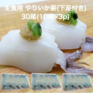yzY Hp Q\t 肢 p 30(10×3p) il^ Ⓚ Hp ̂邾 hgp CN CJ