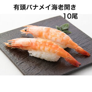 g₷@10Ki@il^@LoiCiCVL(13-14cm)10@̂邾@˂@Ɩp@с@{C@CN@芪i