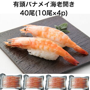 yzil^ L oiC i CVL 40(10×4p) ̂邾 ˂ Ɩp  {C CN 芪i