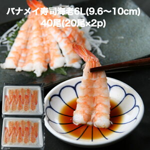 yzil^ oiC i CV 6L(9.6-10cm)40(20×2p) ̂邾 Ɩp  ˂ {C CN 芪i