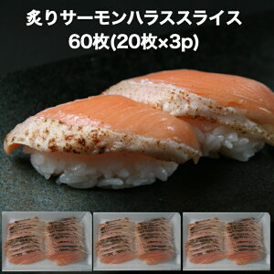 yzil^ T[ t nX XCX60(20×3p) ˂ Ɩp Hp hgp CN T[nXăXCX il^    [ VP g 芪i