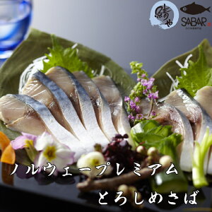 ΐ嗿XyIz mEF[v~AƂ낵߂  Ƃ낳 Y i Ⓚ Mtg 蕨 il^ 