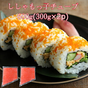 yz ӂƃVV 600g(300g×2p) Ⓚ v`v`H Hp 񂩂 炵 ̂邾 芪i T_ pX^