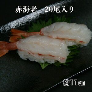 ԊCV 20 il^ ԃGrJ(11cm) ˂ ̂邾 Hp  AJGr hgp CN l^ 芪i