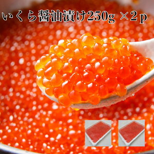 2pbN yz ݖЂ250g×2p T[gEg͏ǖ͔QI T[gEg  R 芪i 炵i Ⓚ 񂹃O Hi Mtg 芪i