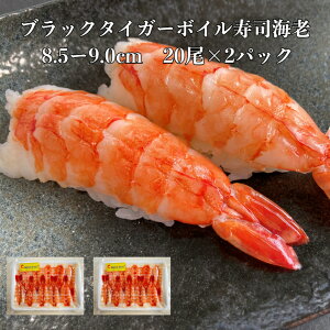 2pbN yz il^ ubN^CK[{CiCV5L8.5[9.0cm20×2p ˂ ̂邾  芪i