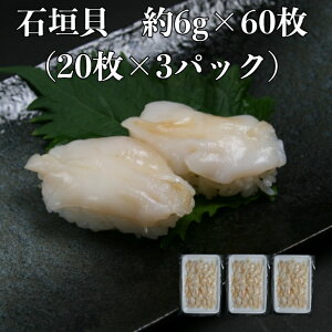 3pbNyz il^ Ί_L 6g×60i20×3pj Ɩp Hp  ˂ ̂邾 hgp 31/40 L CN 芪i