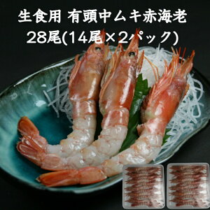 wx LԊCVނ 28(14×2pbN) ˂ ̂邾 Hp  AJGr hgp CN l^ }l Jpb` 芪i