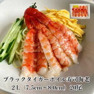 il^ ubN^CK[{CiCV2L20 CV BT ubN^CK[  hg Ⓚ {C Ɩp ƒp