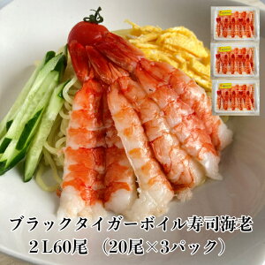 3pbN yz il^ ubN^CK[{CiCV2L60 CV BT ubN^CK[  hg Ⓚ {C Ɩp ƒp